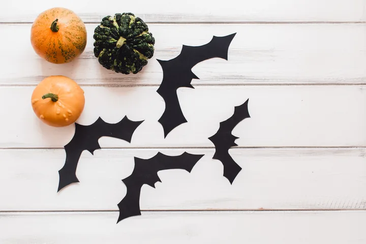 Black paper bat silhouettes lie beside small pumpkins and a green gourd on white wooden boards.
